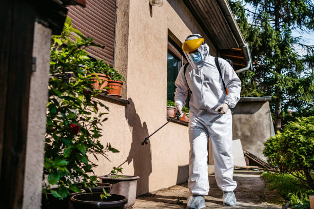 Best Pest Control Near Me  in Warren, OH