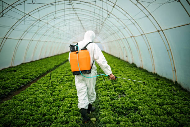 Reliable Warren, OH Pest Control Solutions
