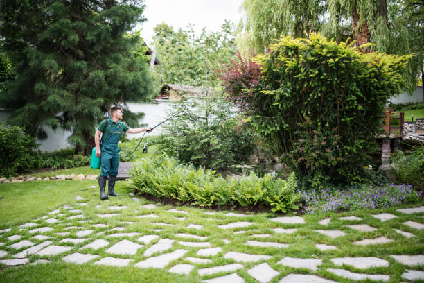 Best Pest Inspection Near Me  in Warren, OH