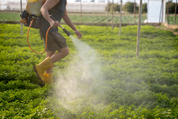 Best Commercial Pest Control Services  in Warren, OH