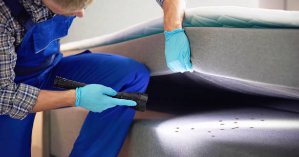 Best Cockroach Control Services  in Warren, OH