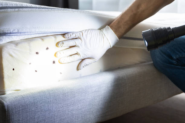 Best Best Pest Control Companies  in Warren, OH